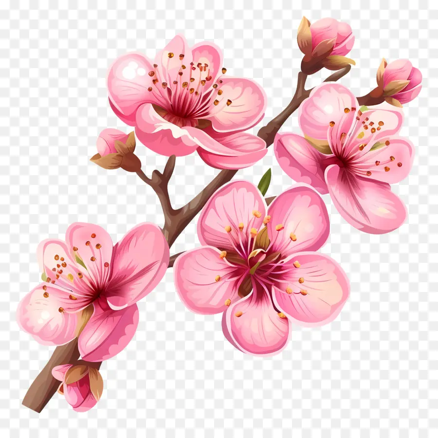 Розовые цветы，Вишни PNG