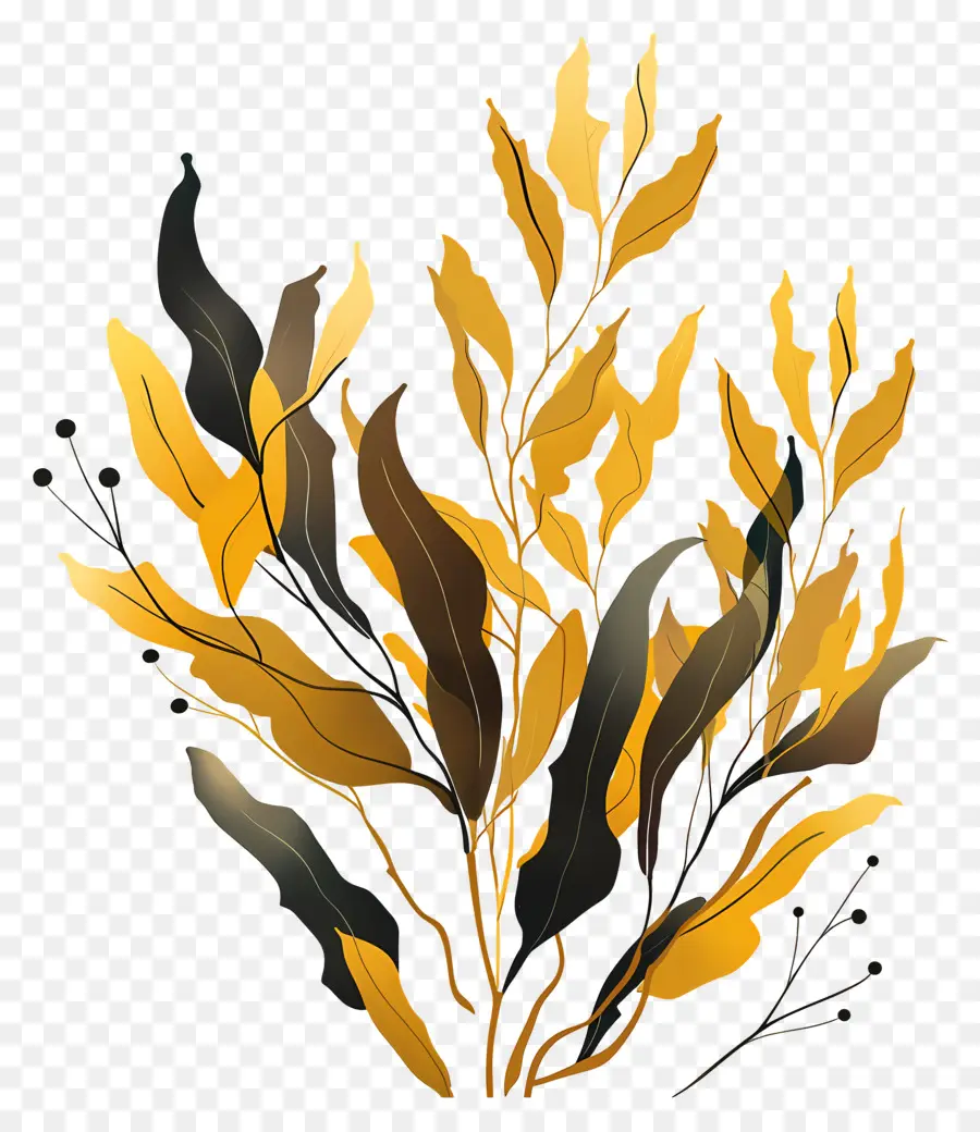 водоросли водорослей，желтые листья PNG