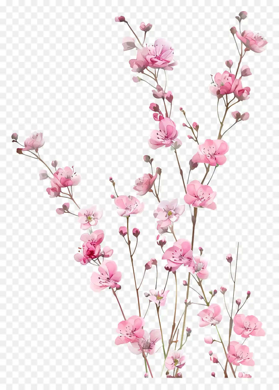 Розовые цветы，Вишни PNG
