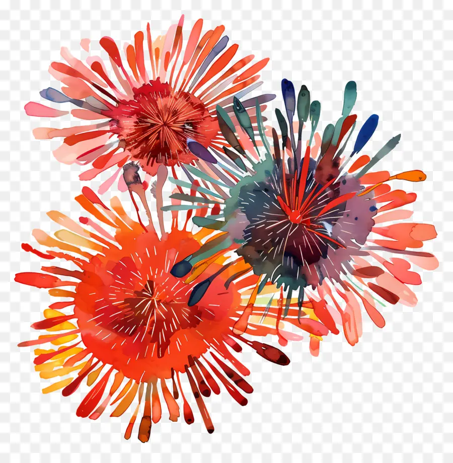 фейерверк，Watercolor Flowers PNG