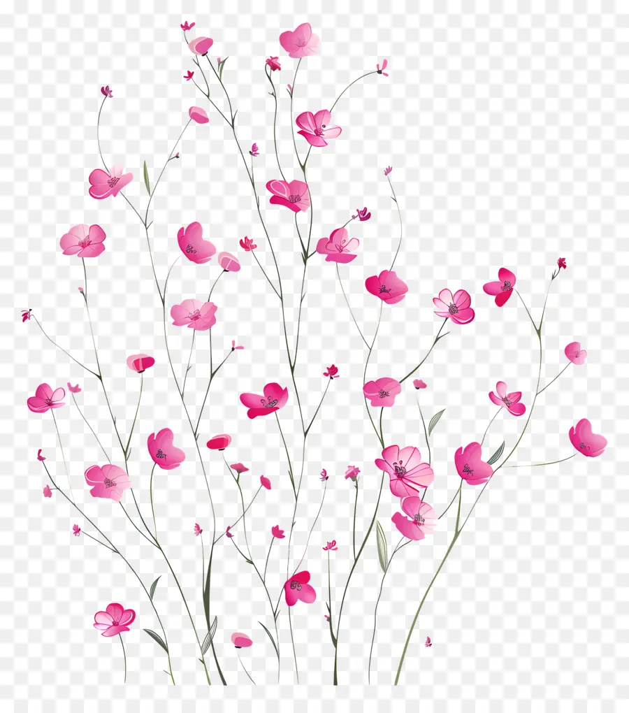 Розовые цветы，букет PNG