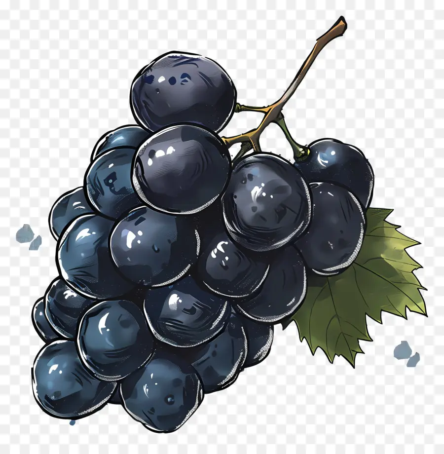 Grapes，черный виноград PNG