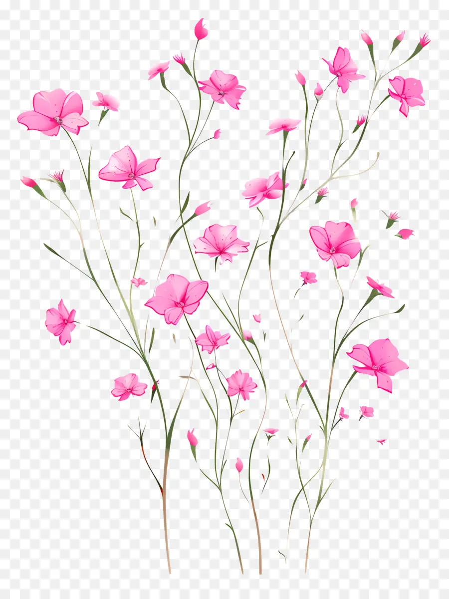 Розовые цветы，Фотографии природы PNG