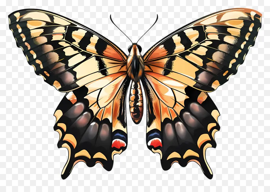 Бабочка，красочные PNG