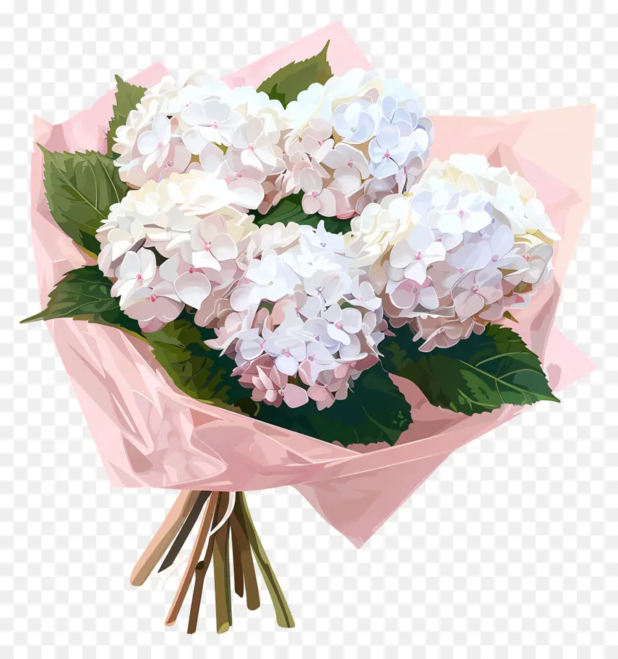 белый Гортензия，розовые розы PNG