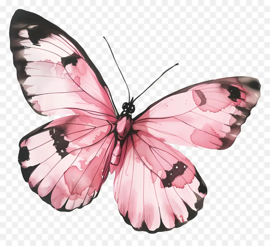 розовая бабочка，акварельная живопись PNG