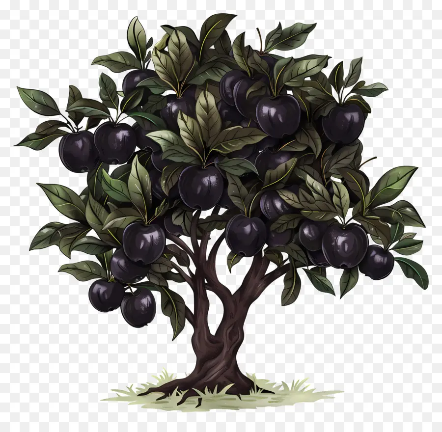 Черная яблоня，Дерево PNG