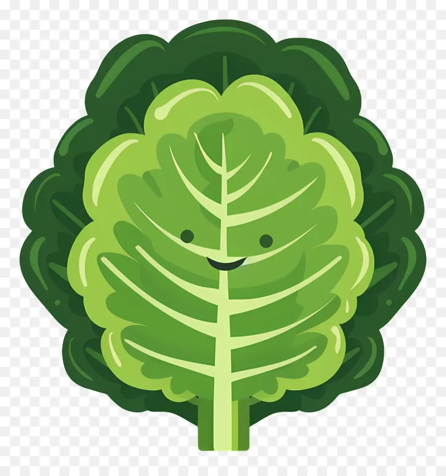 Lettuce，Зеленое листовое растение PNG