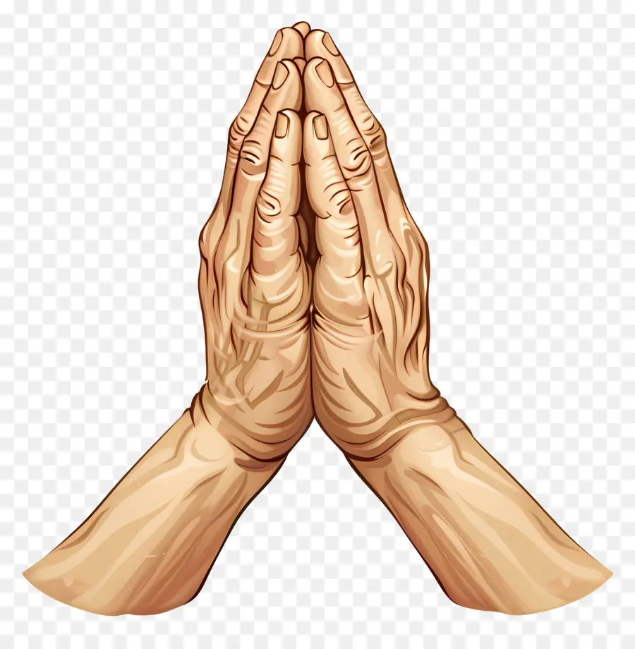Руки Молящегося，молитва PNG