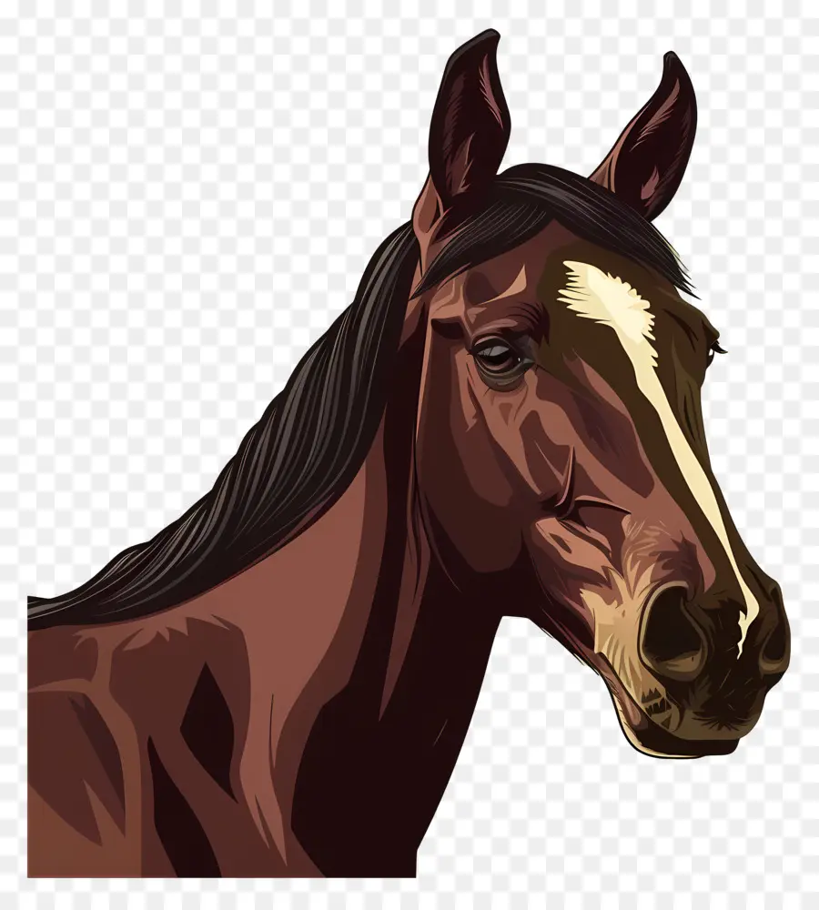 лошадь，коричневый PNG