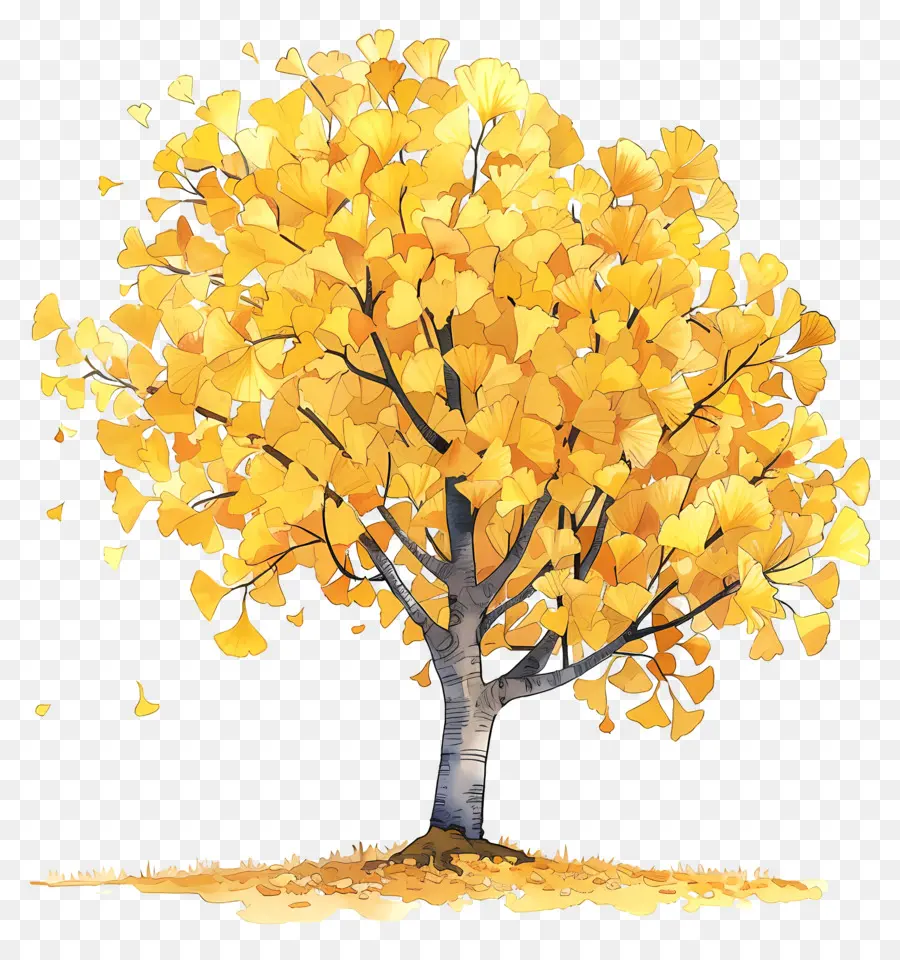 Осеннее дерево гинкго，Дерево PNG
