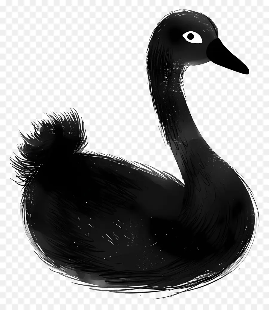 Черный Лебедь，Утка PNG