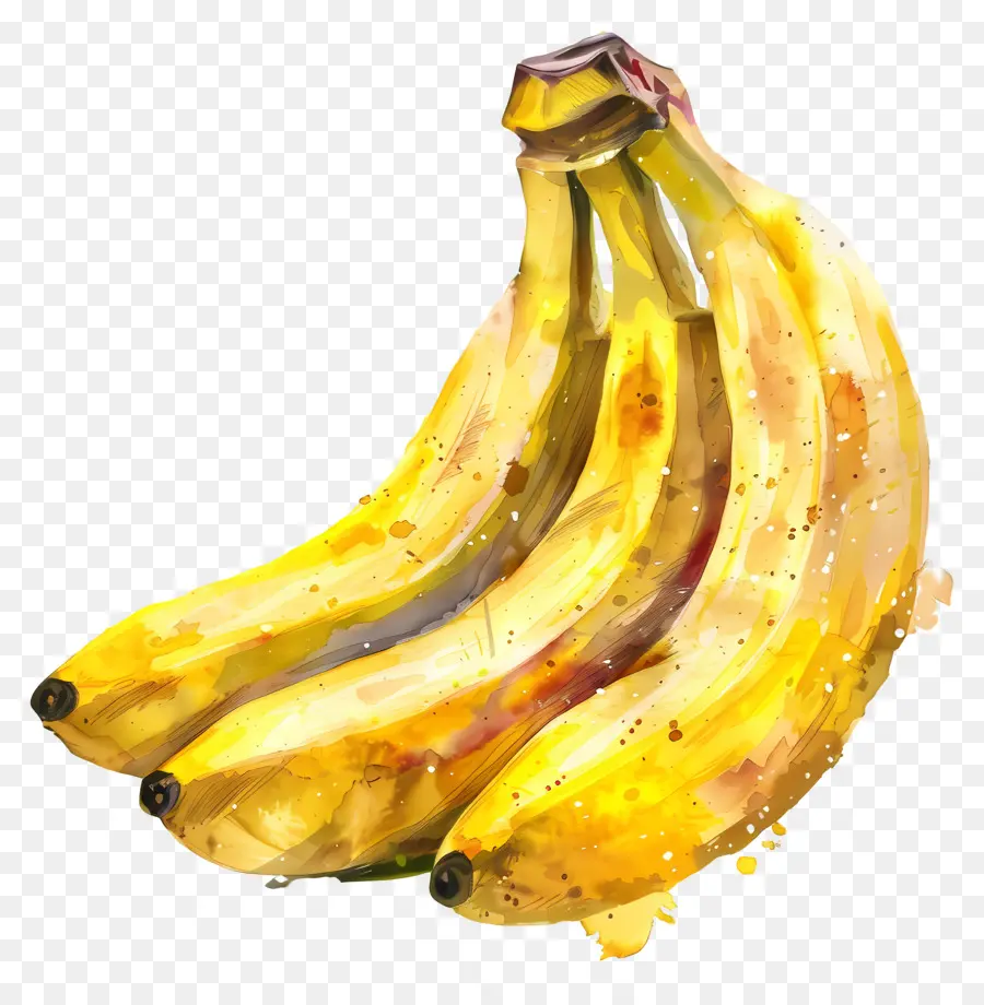 Bananas，Фрукты PNG
