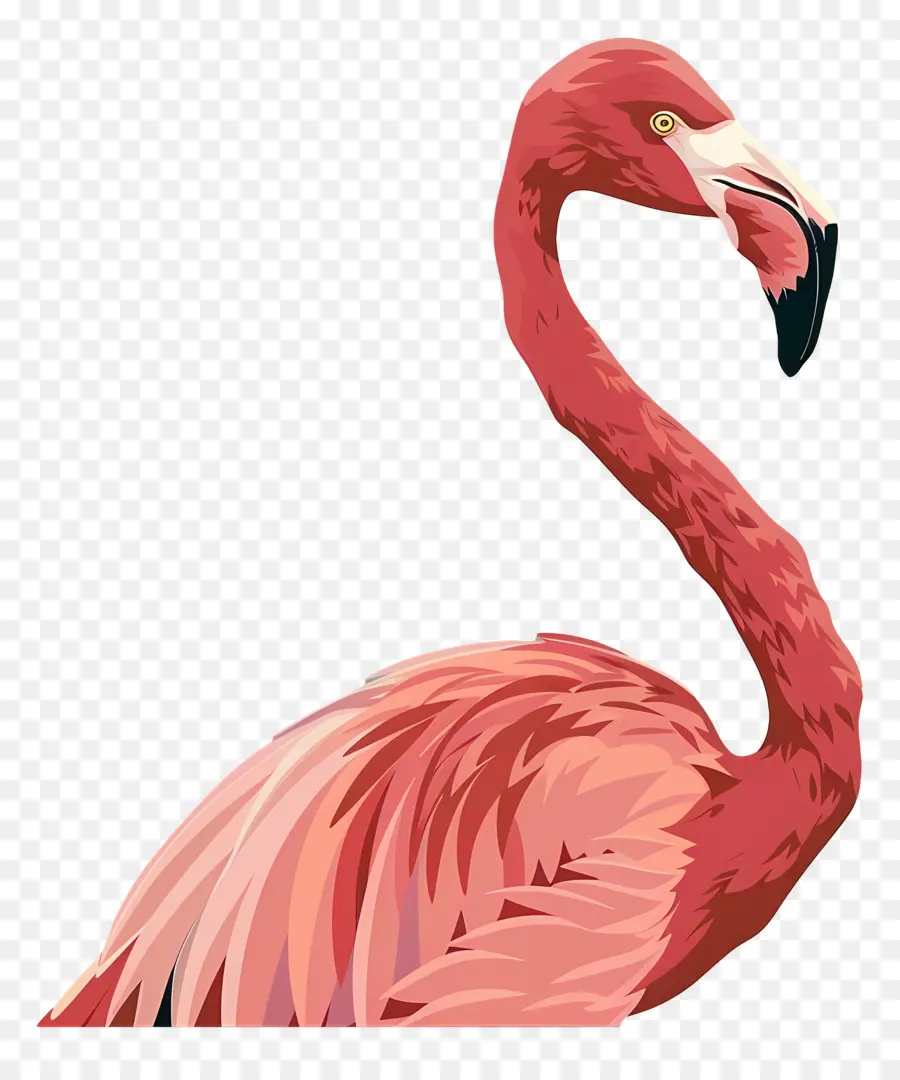 Фламинго，розовый PNG