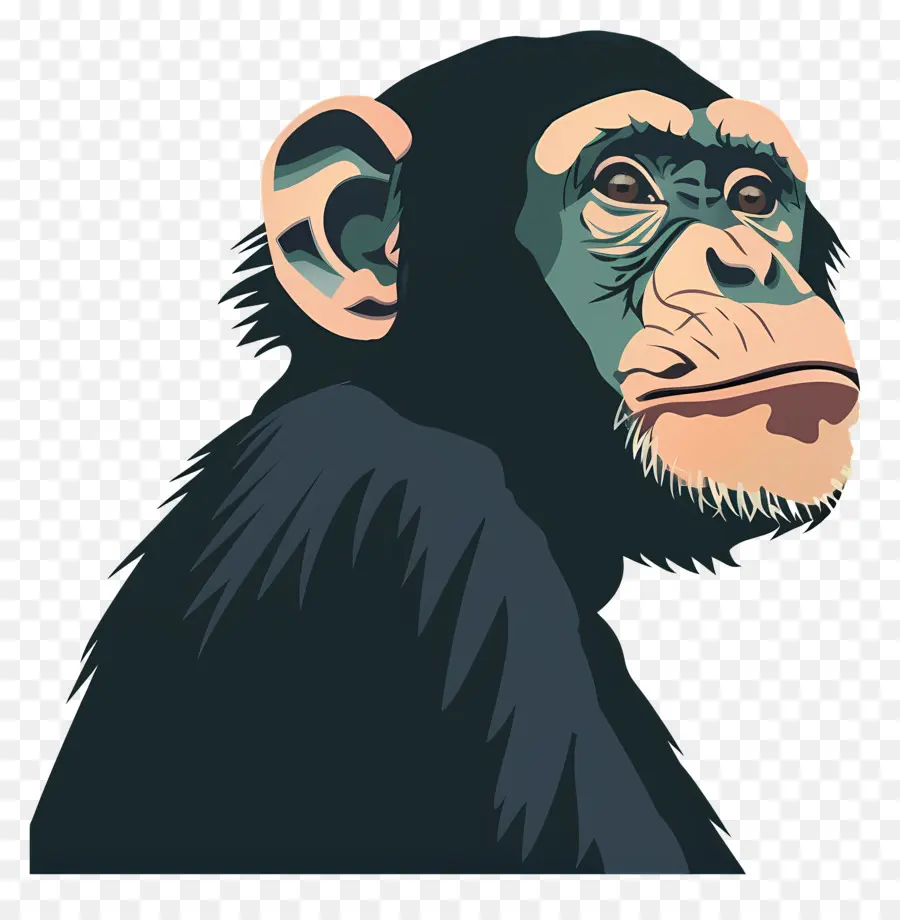 Обезьяна，Шимпанзе PNG