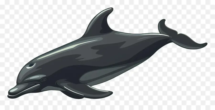Дельфин，Черный дельфин PNG