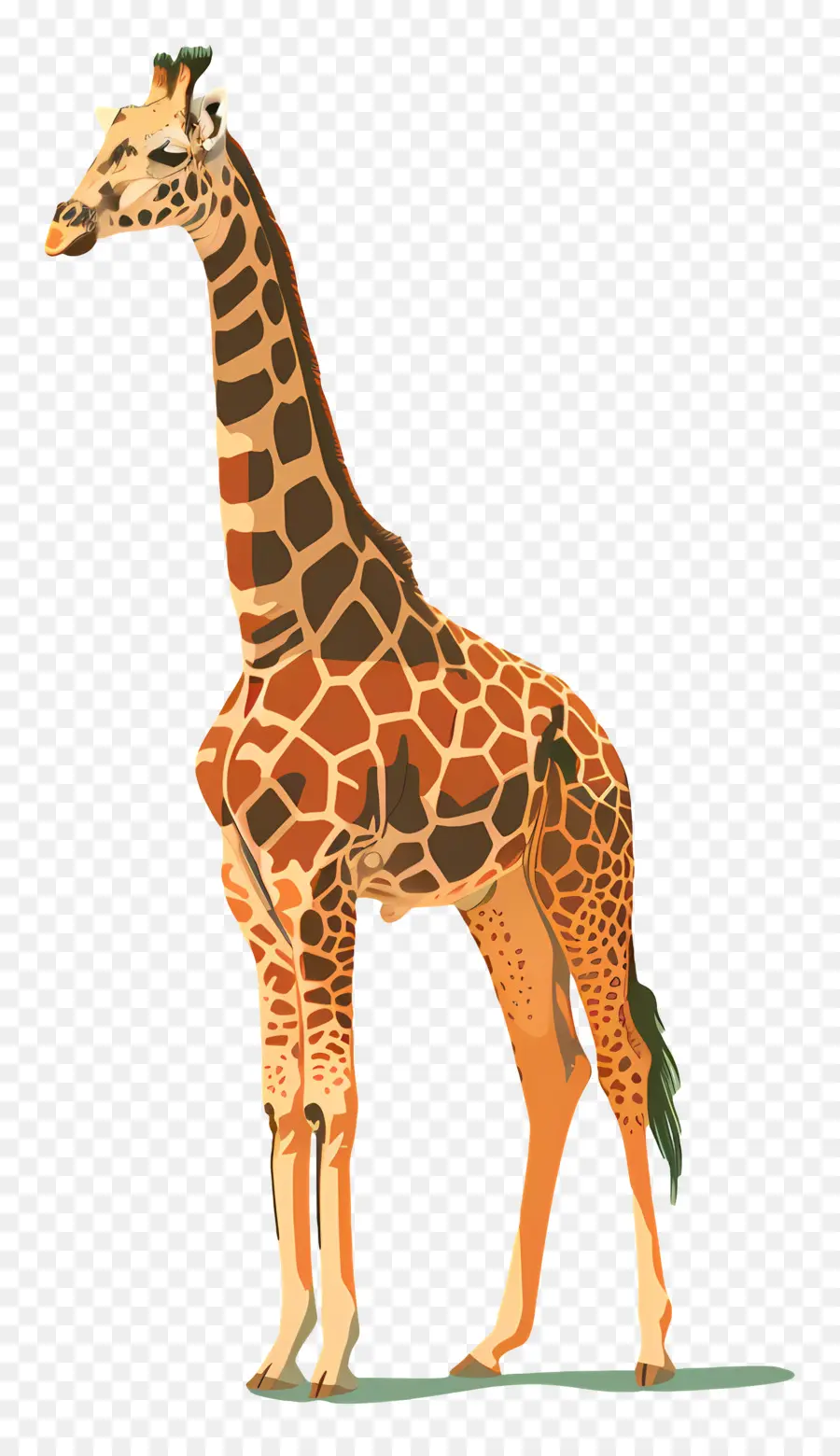 Жираф，дикой природы PNG