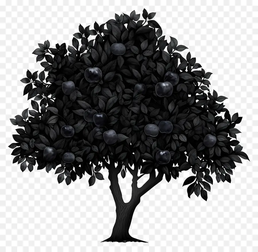 Черная яблоня，ежевика PNG