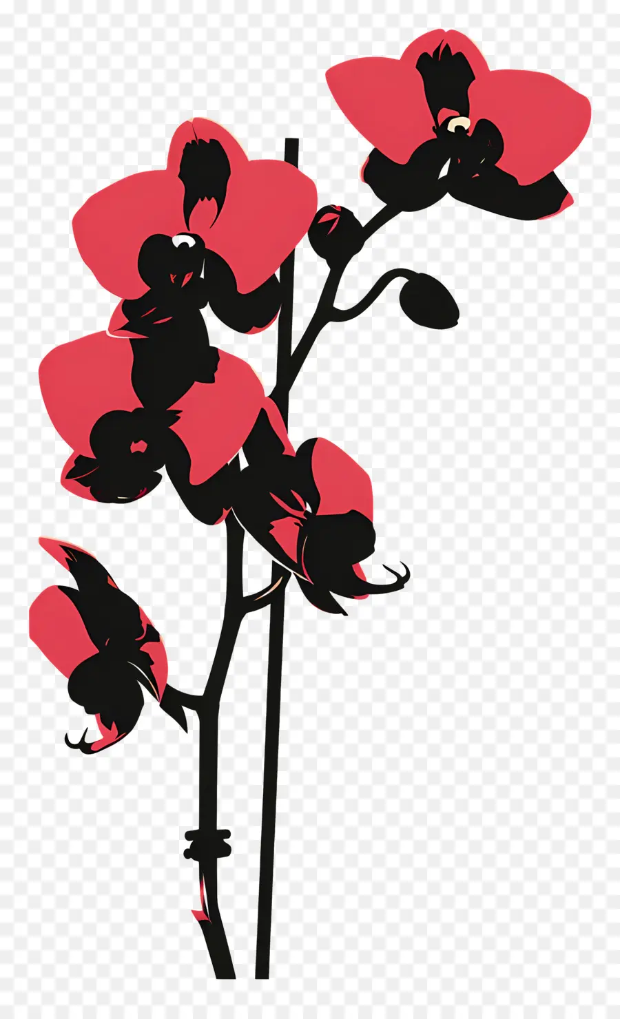 Орхидеи，розовый цветок PNG