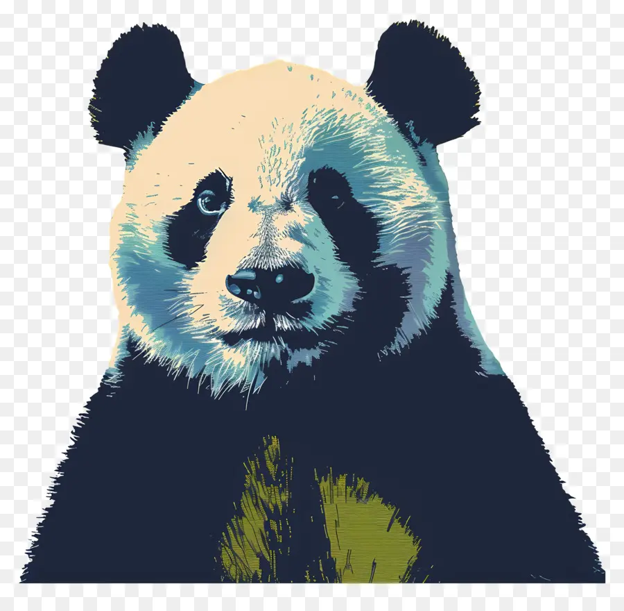 Панда，медведь PNG