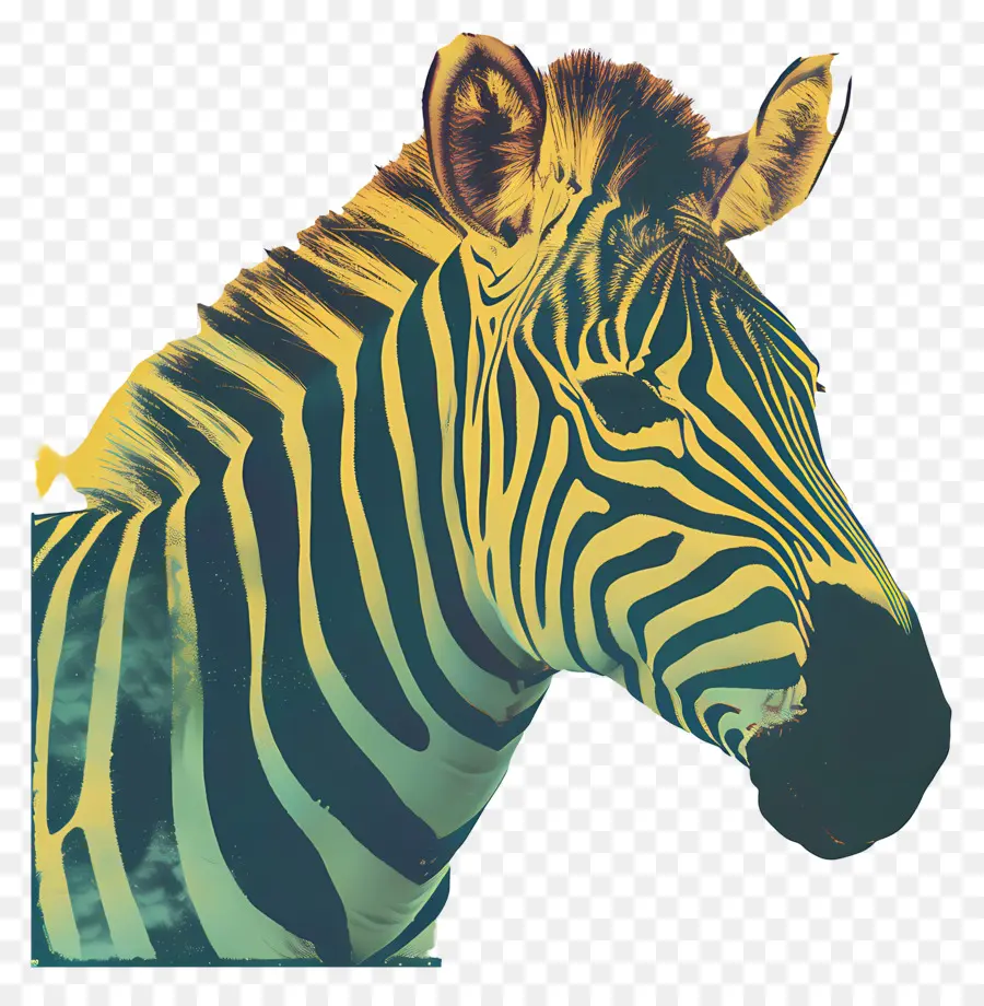 зебра，Stripes PNG