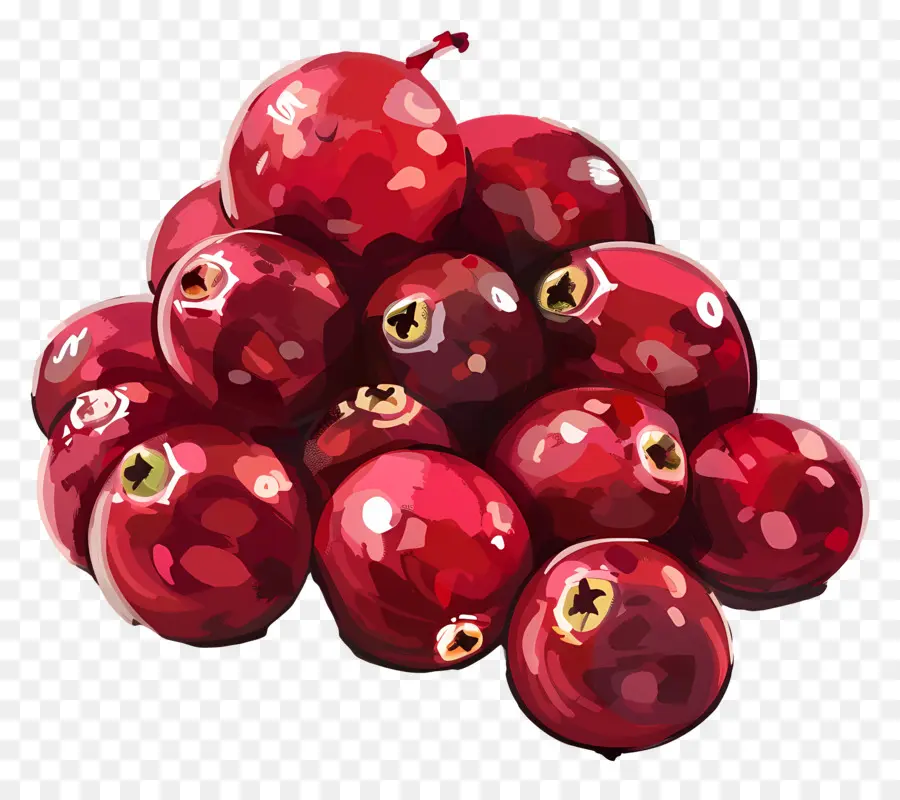 Cranberries，красный виноград PNG