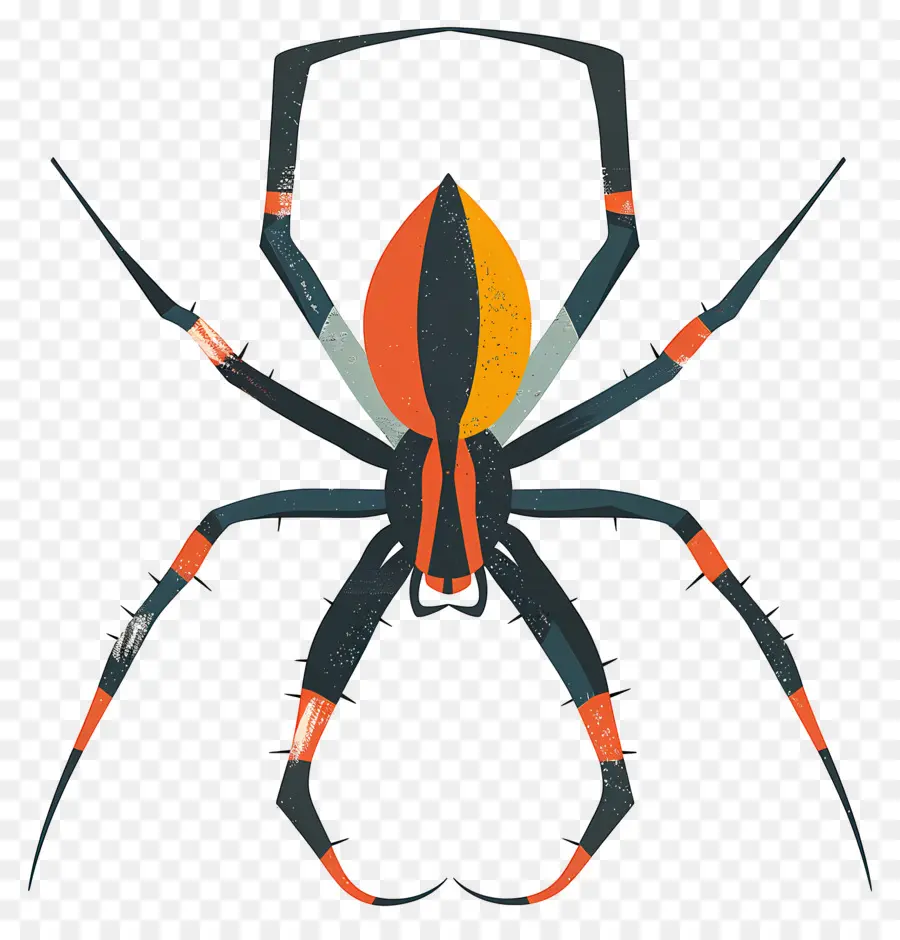 паук，паукообразный PNG