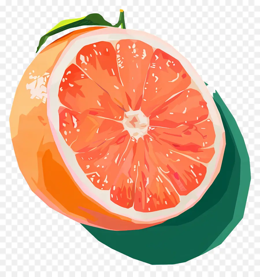 Грейпфрут，иллюстрация стиль со стилизованной рисованной PNG