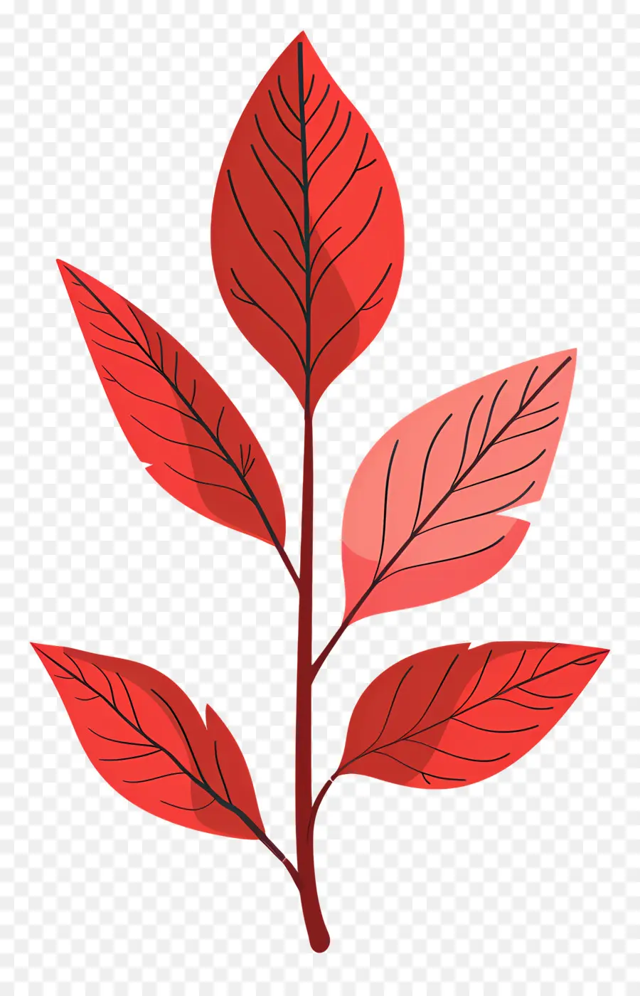 красный лист，Красное растение листья PNG