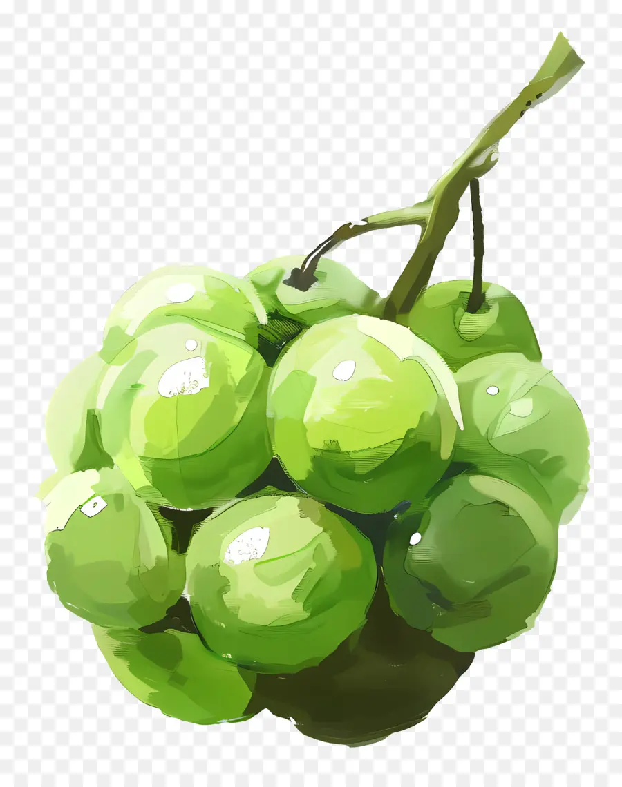 Grapes，Зеленый виноград PNG