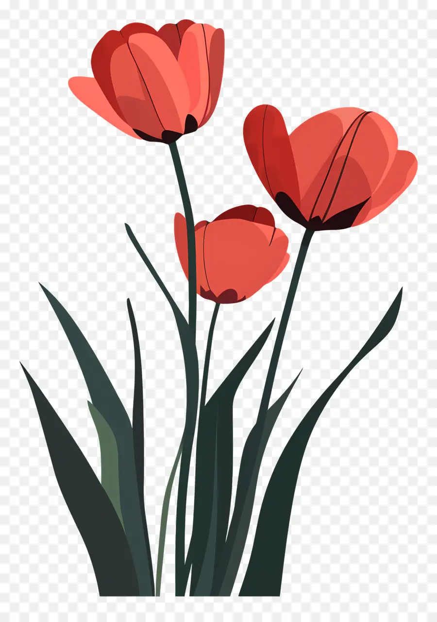 тюльпаны，Красные тюльпаны PNG