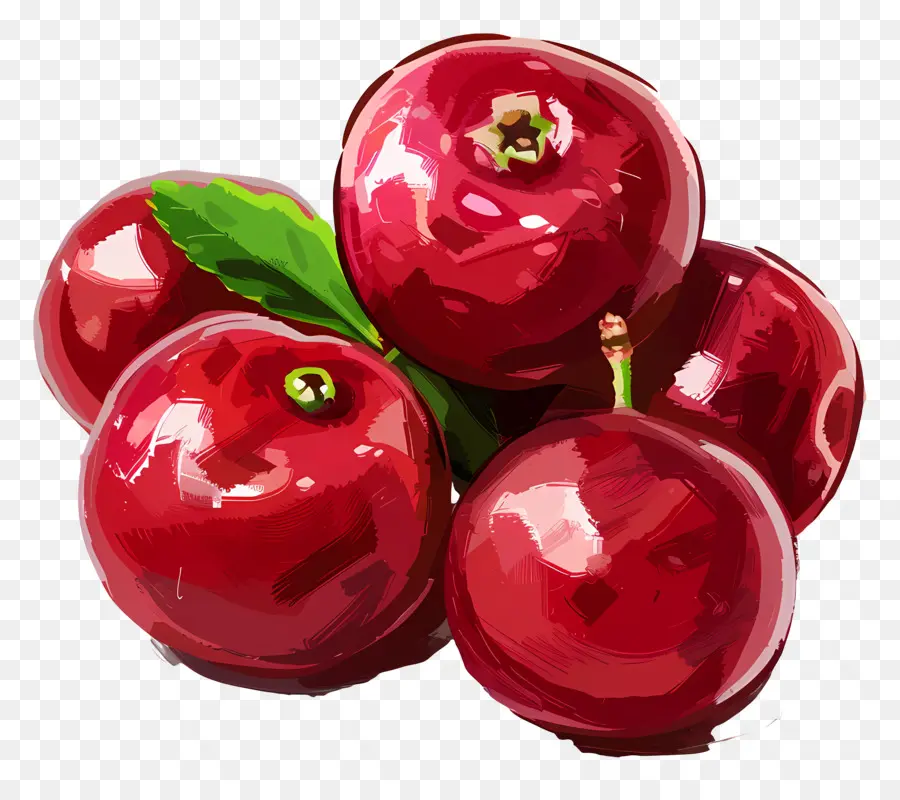 Cranberries，зрелые яблоки PNG