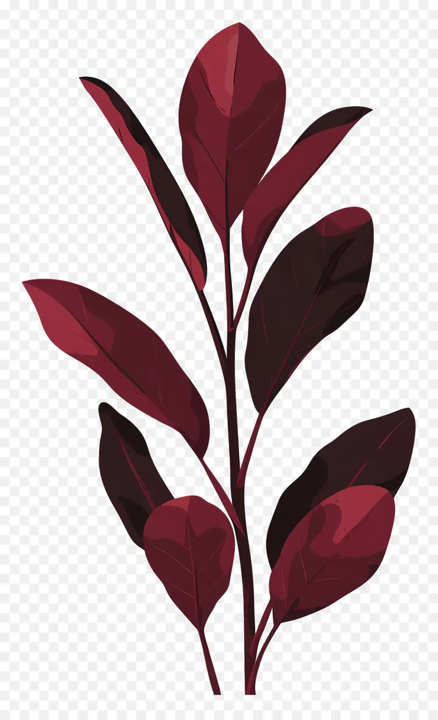 щавель，иллюстрации растений PNG
