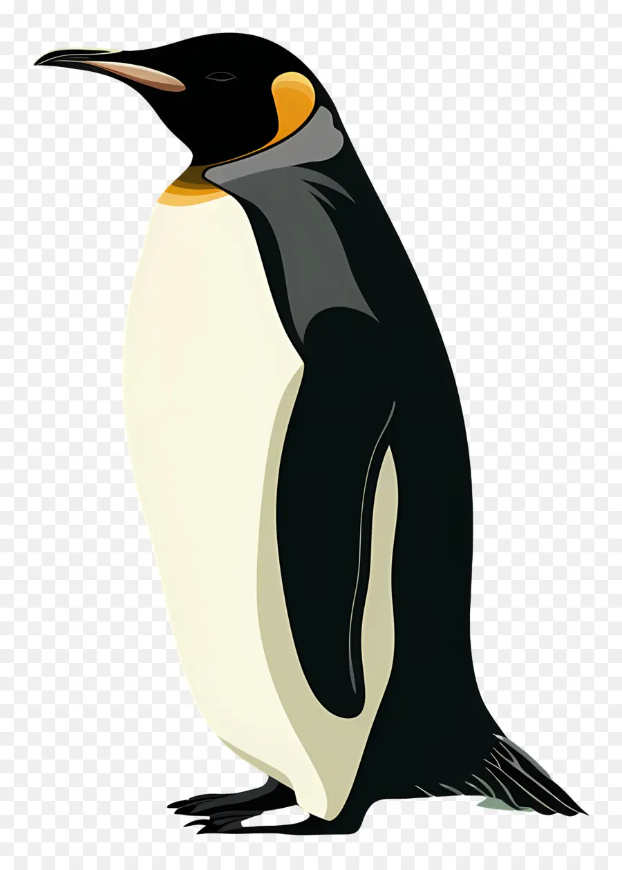 Пингвин，Птица PNG