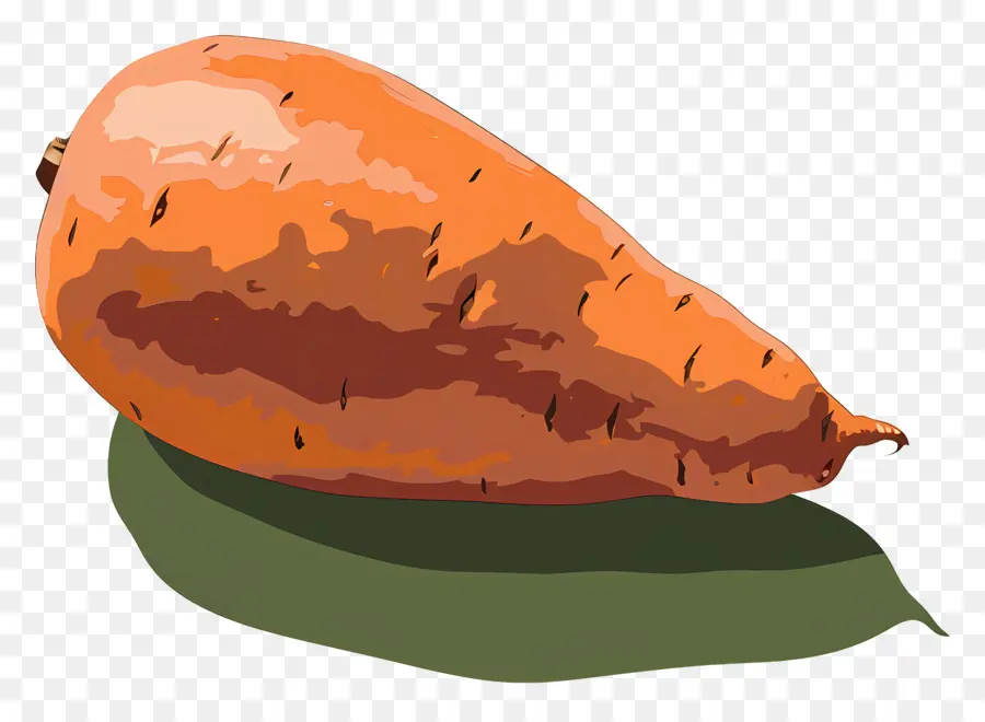 сладкий картофель，Морковный PNG
