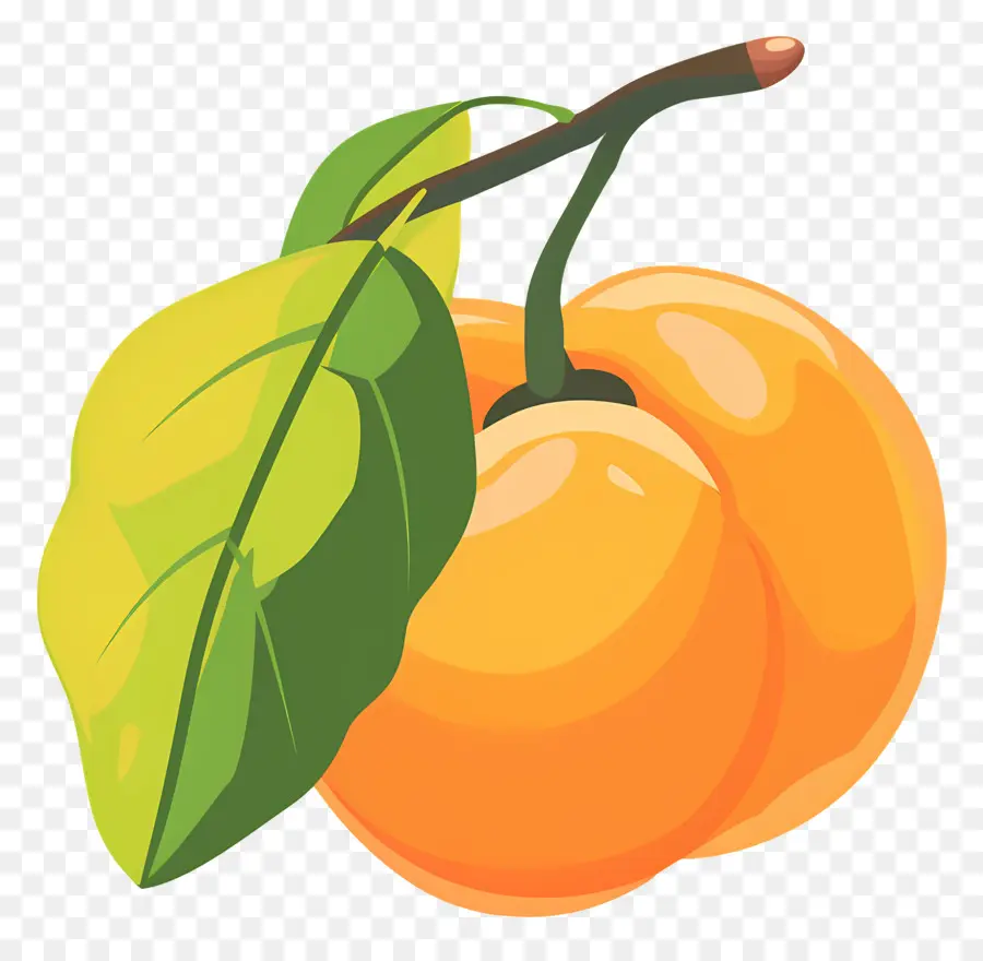 Абрикос，спелый апельсин PNG
