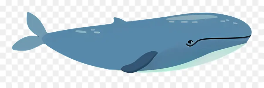 Синий Кит，Водное млекопитающее PNG