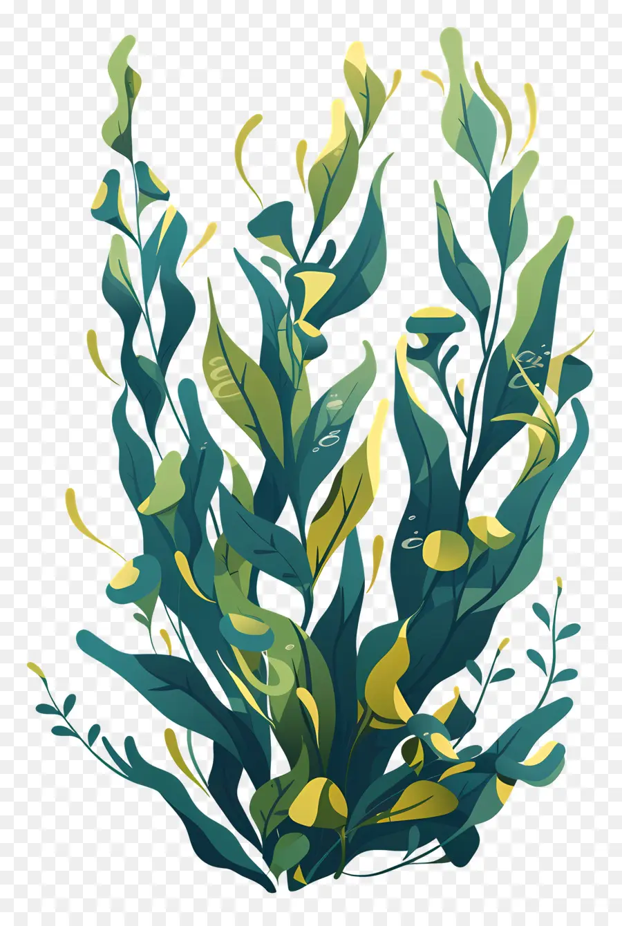 Ламинария，водные растения PNG