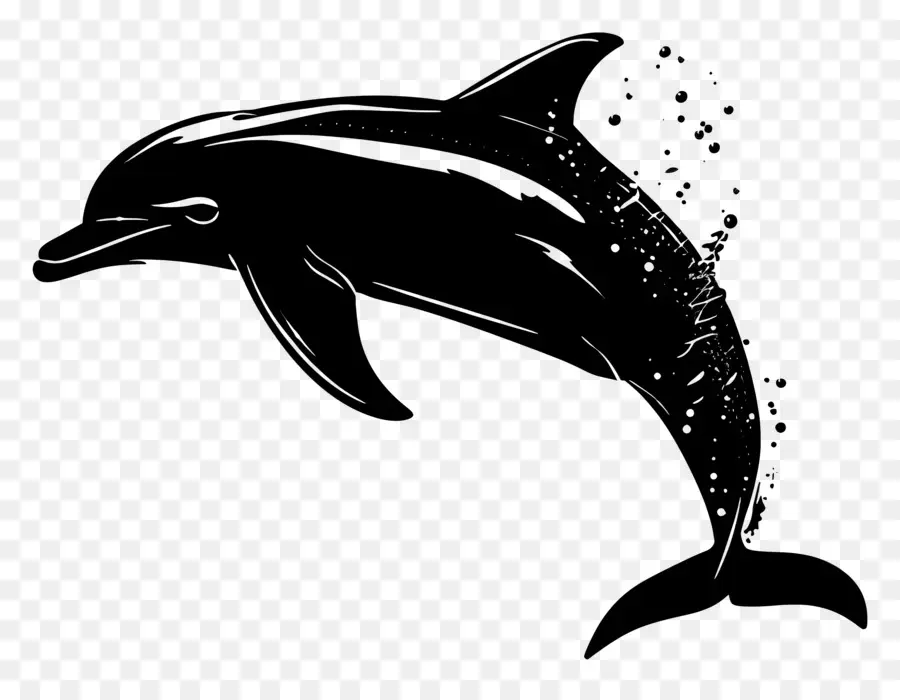 Дельфин силуэт，Дельфин PNG