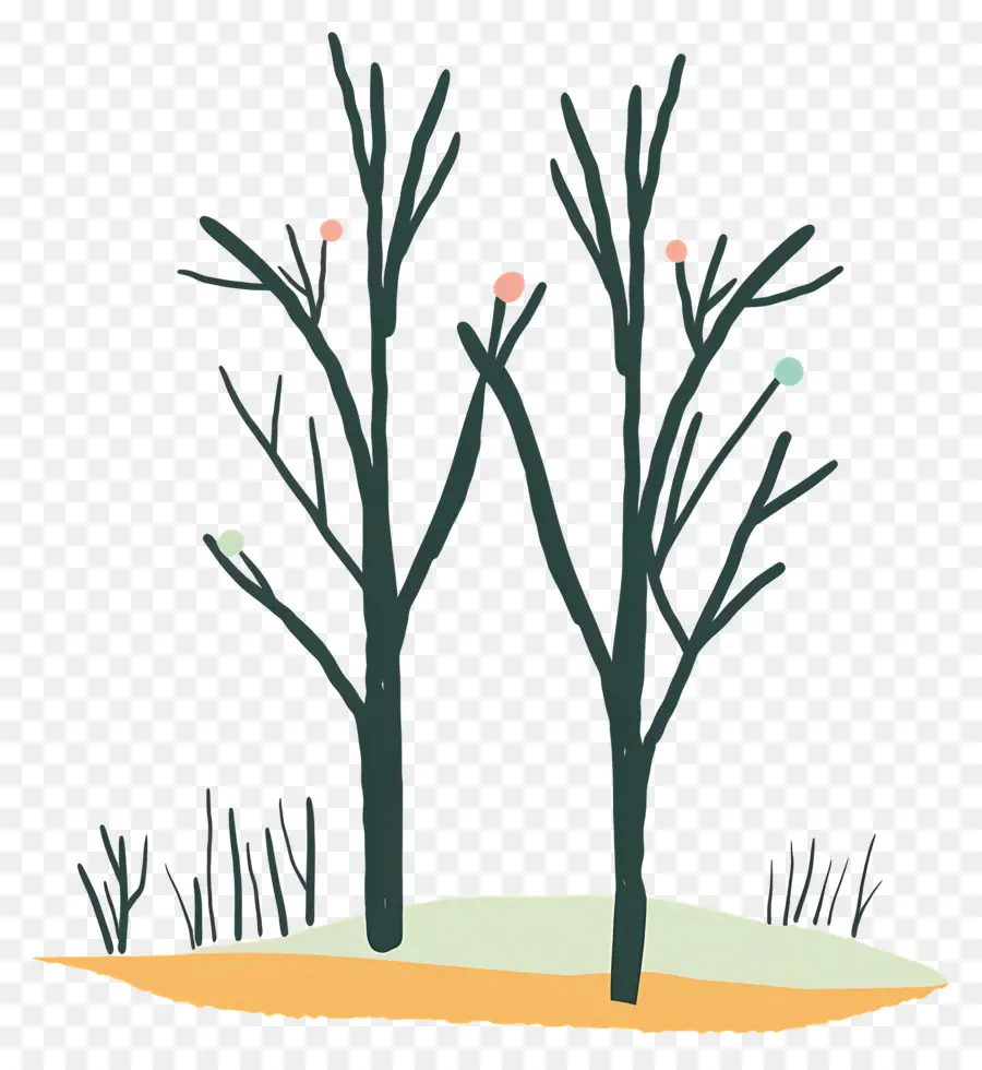 голые деревья，Зима PNG