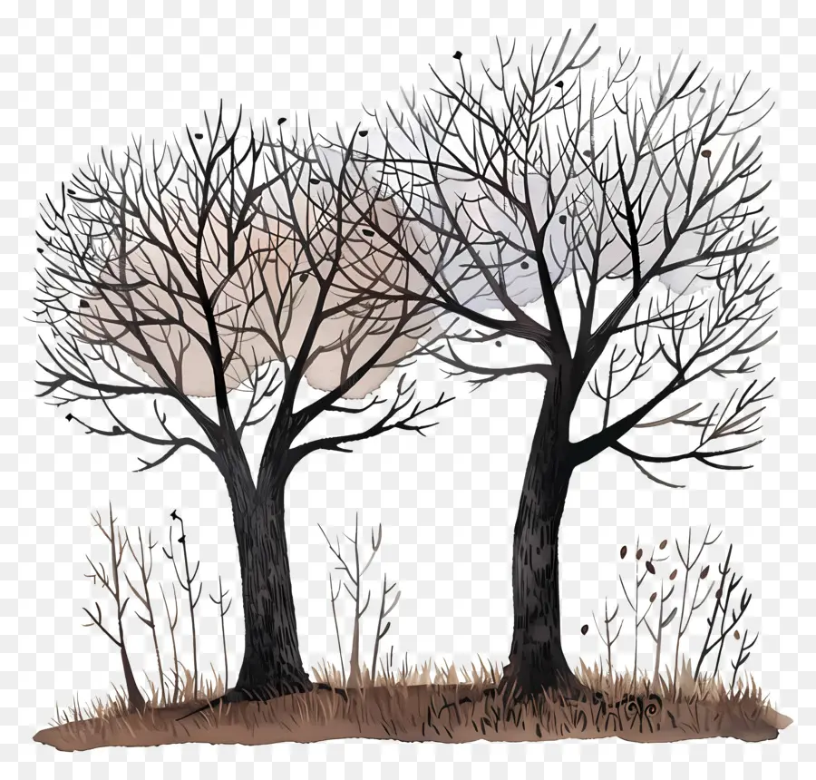 голые деревья，зимние деревья PNG