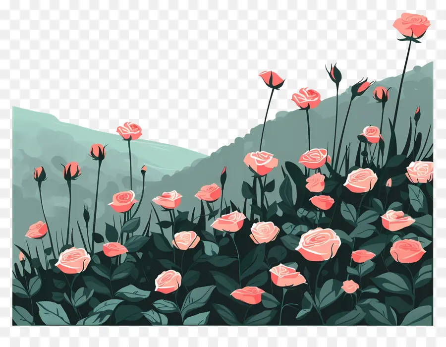 розовое поле，розовые розы PNG