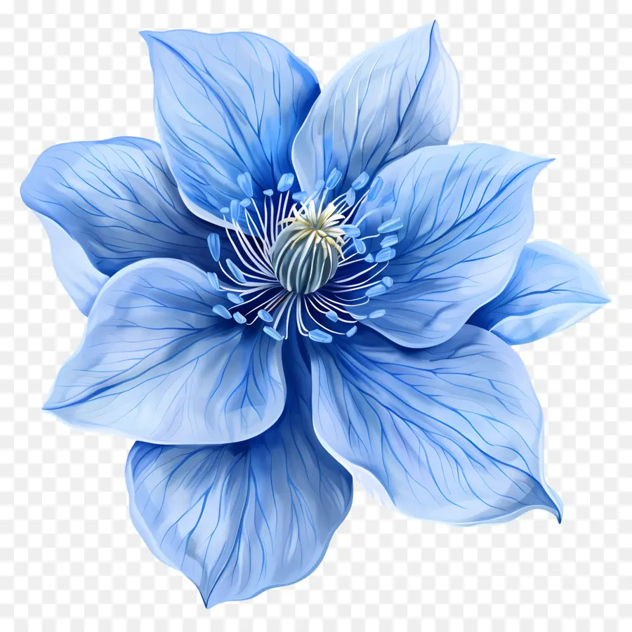 Голубой цветок，Большие лепестки PNG