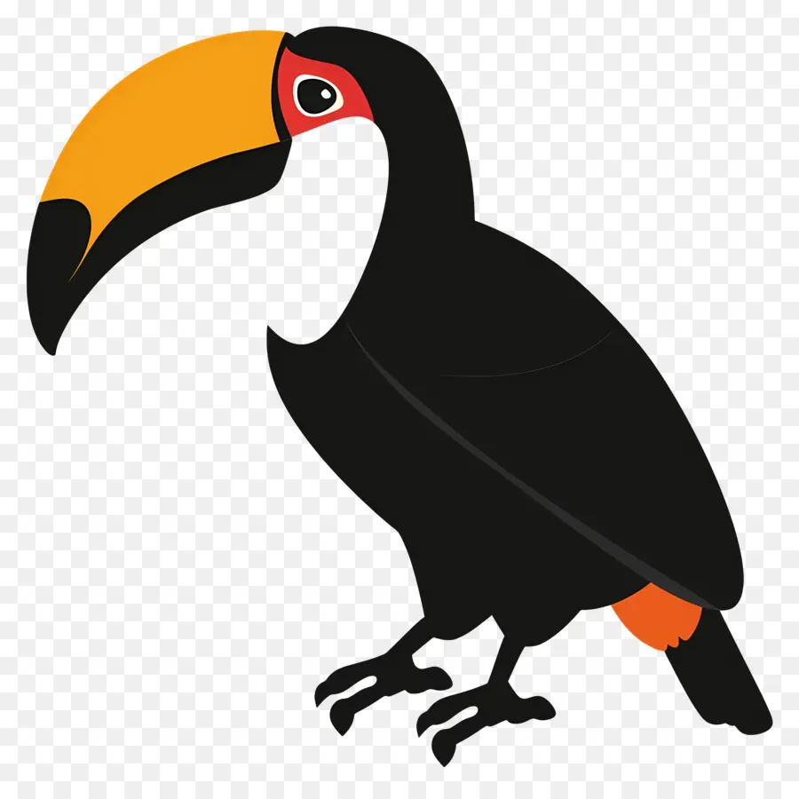 Тукан，мультфильм птица PNG