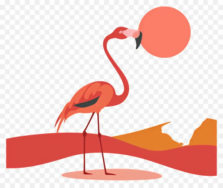 Фламинго，Pink Flamingo PNG