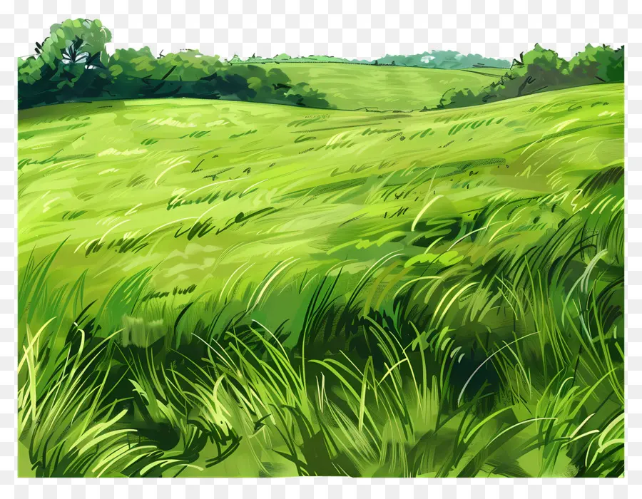 зеленое поле，высокая трава PNG