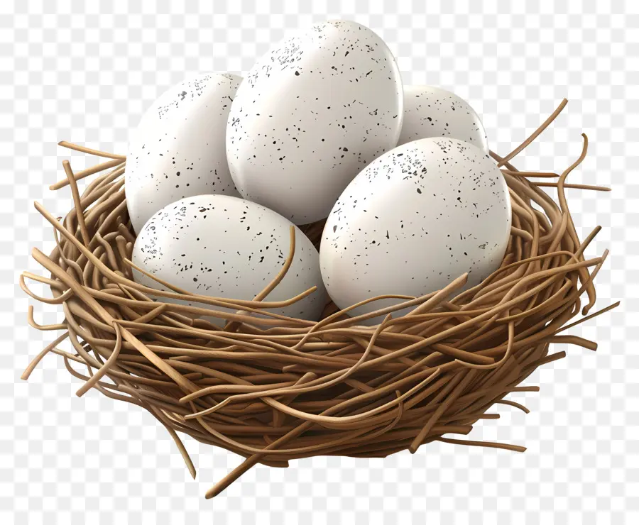 Яйца Птиц，Гнездо PNG
