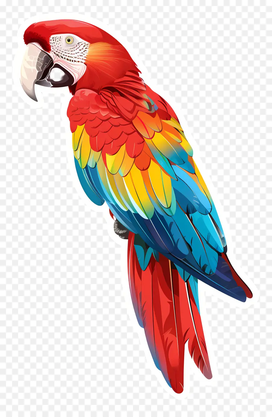 наклейка попугая，Ара PNG