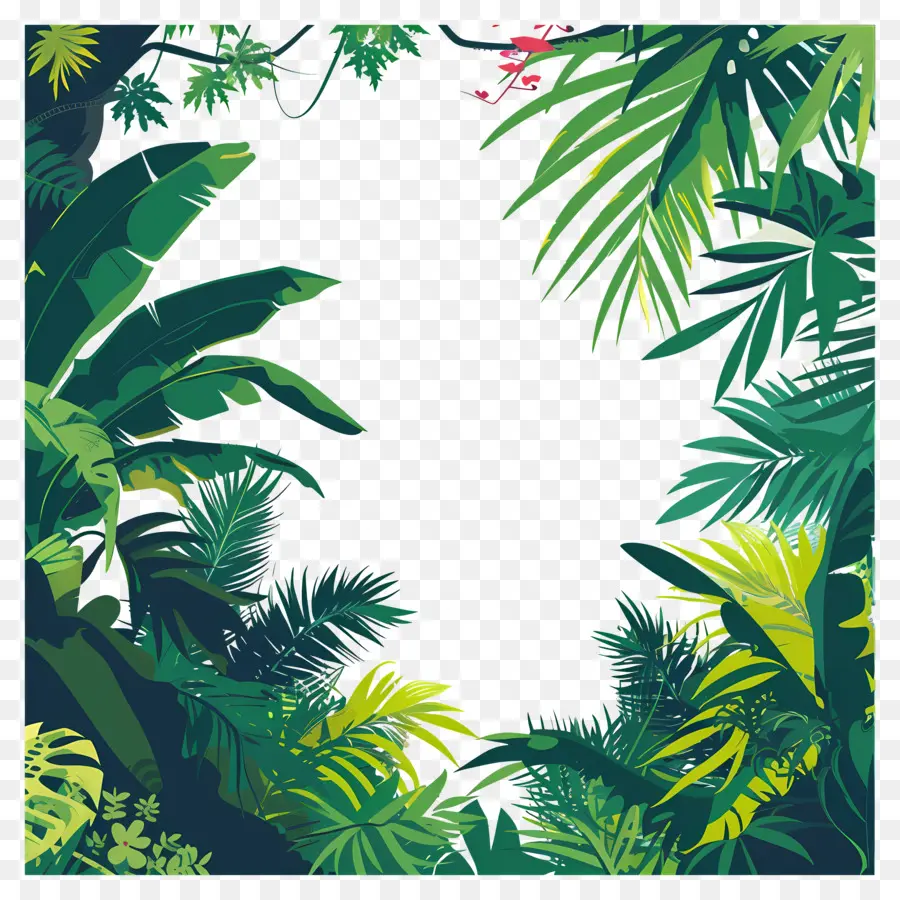 фон джунглей，Tropical Forest PNG