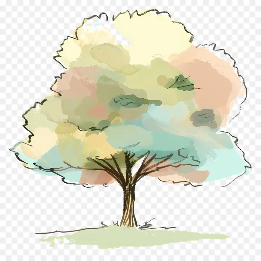 Дерево，картина дерево PNG